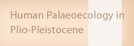 Human Palaeoecology in the Plio-Plistocene
