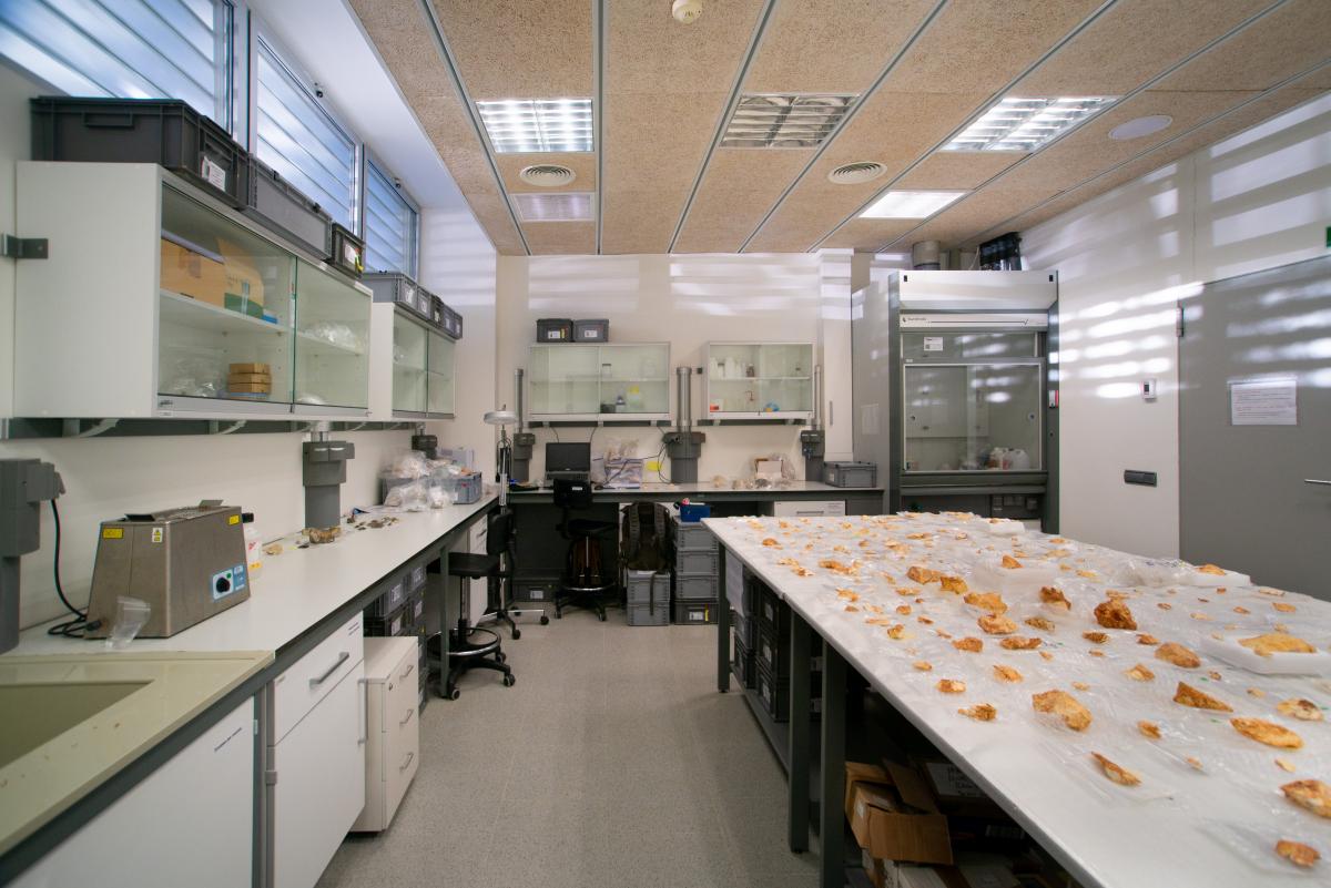 Lithic Technology Lab