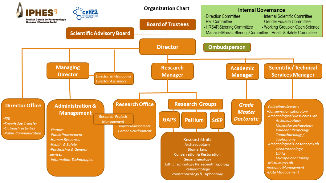 Organization Chart