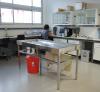 Zooarchaeology Lab